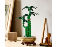 LEGO Botanicals 10344 Dracena sandera - 1283647 - zdjęcie 5